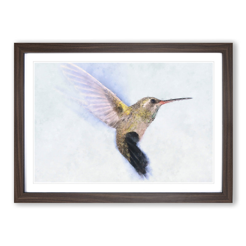 Flying Hummingbird Bird - Picture Frame Graphic Art Print, 45cm H x 63cm W x 2cm D, Walnut Framed