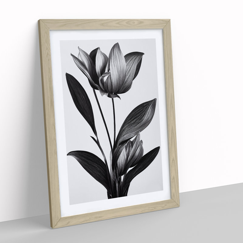 XV1022-2844X Monochrome Flower - Single Picture Frame Painting, Oak, 64cm H x 46cm W x 2cm D