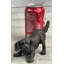 Cavalier King Charles Spaniel, sculpture originale en bronze d'un chiot Williams
