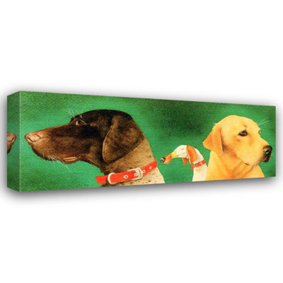 Oiseaux