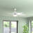 Sabb 52'' Ceiling Fan with LED Lights-29672318
