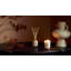Fruits Reed Diffuser-1215989474