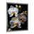 White Picture Framed