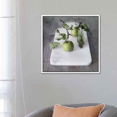 Growth Begins 1 Piece Wall Art on Canvas
