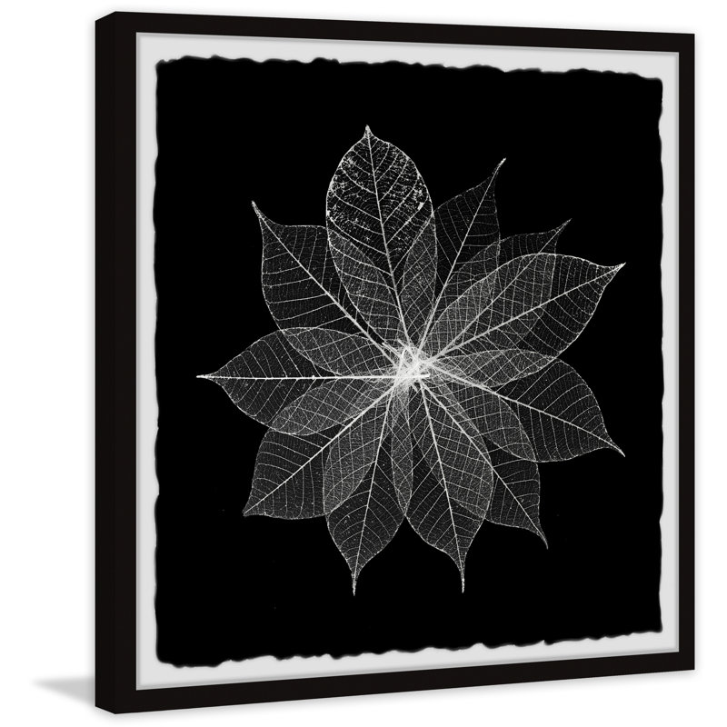 Leaf Splash - Single Picture Frame Painting, 61cm H x 61cm W x 3.81cm D