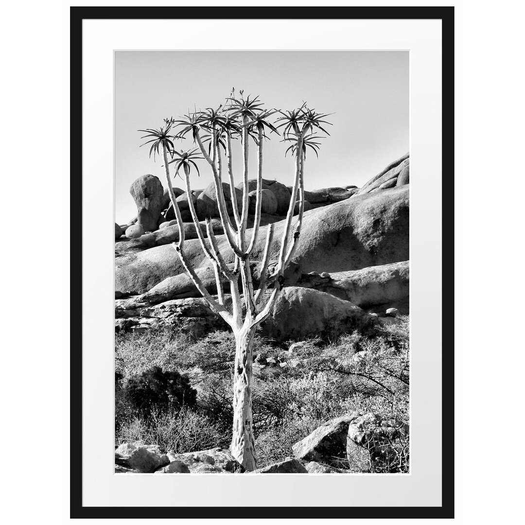 Gerahmtes Poster Baum im Steingebirge