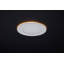 4 in. Selectable 9 W Air-Tight IC Rated LED Canless Standard Recessed Lighting Kit