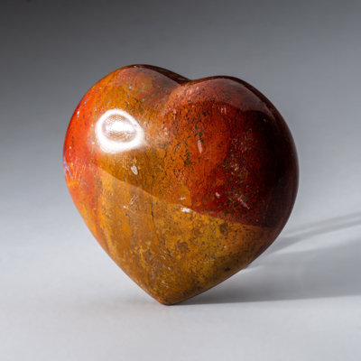Petrified Wood Heart Cloche (0.55 Lbs)