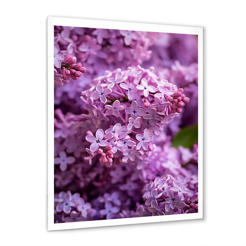 «Lilac mauve», reproduction sur toile, Cadre simple blanc, H 32 po x l 16 po x P 1 po