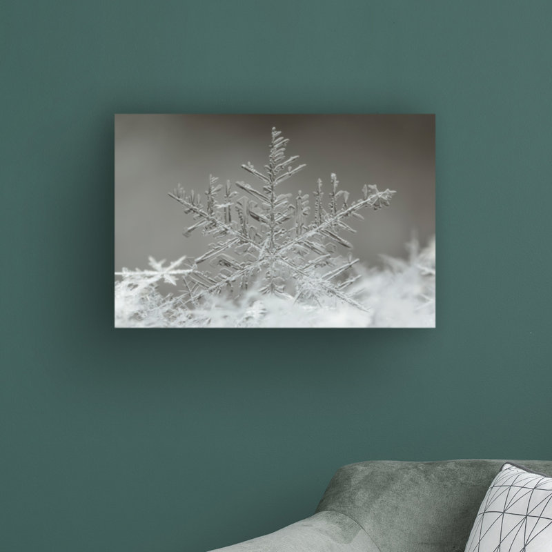 «Snowflake» par Tsolmon Naidandorj - reproduction de photo sur toile tendue, H 12 po x l 19 po x P 2 po