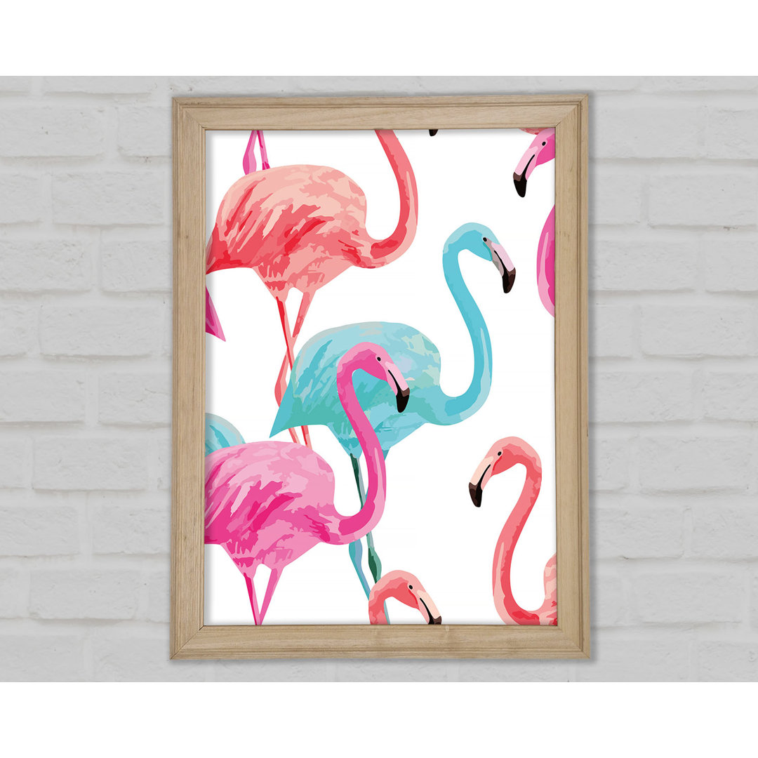 Flamingo Farben - Druck