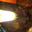 Customer photo 2 of 2
