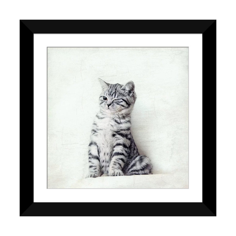 Art sur toile clin d’œil chat, Papier d'art encadré noir, Blanc, H 24 po x l 24 po x P 1 po