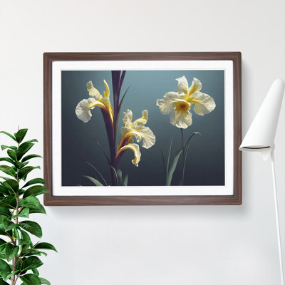 Thrilling Iris Flowers - Single Picture Frame Print