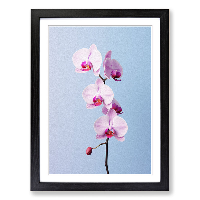 Orchid Flower Minimalism 1 Piece Single Picture Frame Wall Art, 34cm H x 25cm W x 2cm D, Black