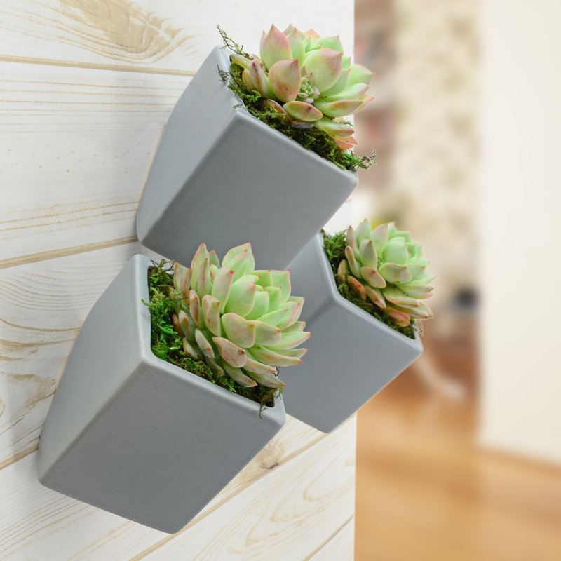 Ensemble de pots à fleurs muraux en céramique 3 pièces Ealy, Gris clair
