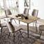 Lichtwardt Rectangular Dining Table