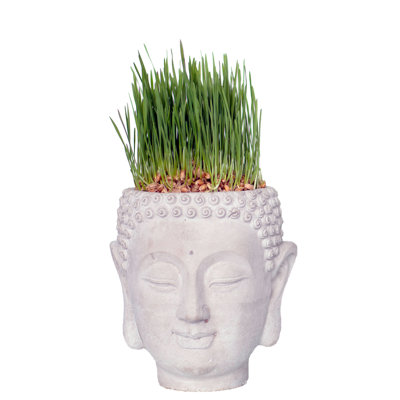 Pot à fleurs statue de Bouddha Faakhir