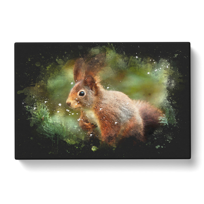 Red Squirrel Vol.2 - Wrapped Canvas, 35cm H x 50cm W x 3cm D