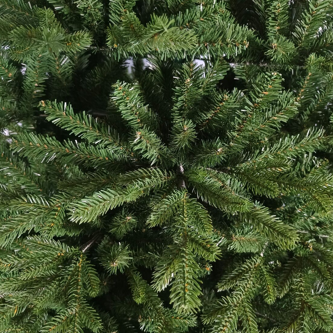 Oregon Pine Pine Christmas Tree, 9'