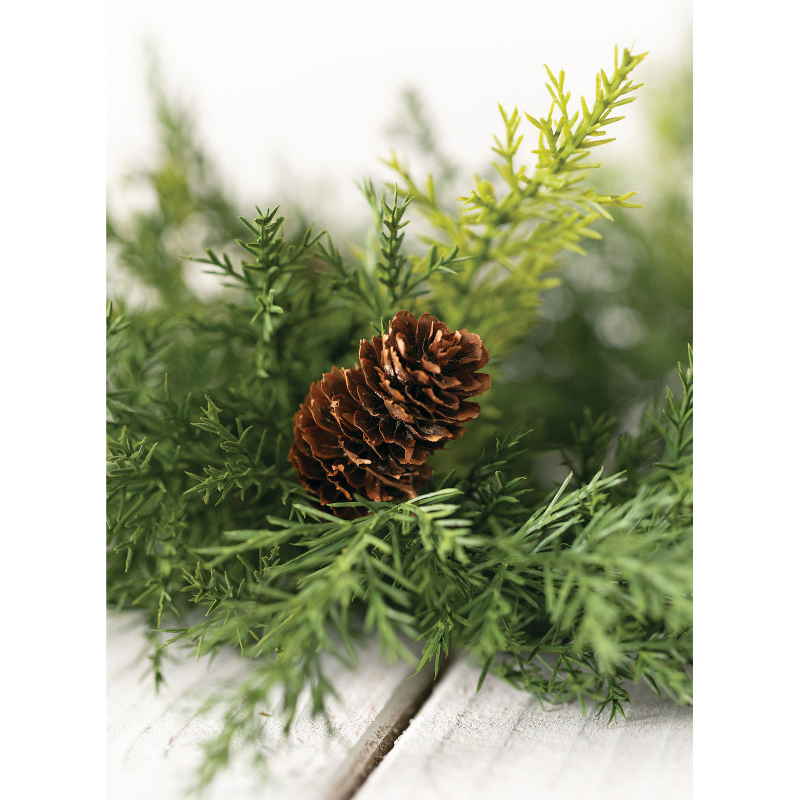 Artificial Ellerby Arborvitae Wreath, 10" H x 10" W x 2.5" D