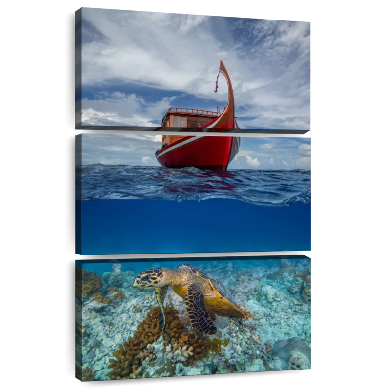 Tortue exotique des Maldives, H 50 po x l 32 po