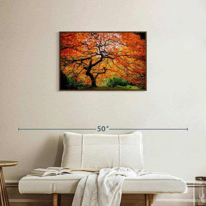 Automne érable japonais, Cadre flottant en noyer, 31 po x 21 po