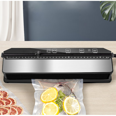 Dry and Moist Food Vacuum Sealer with Sealer Bags