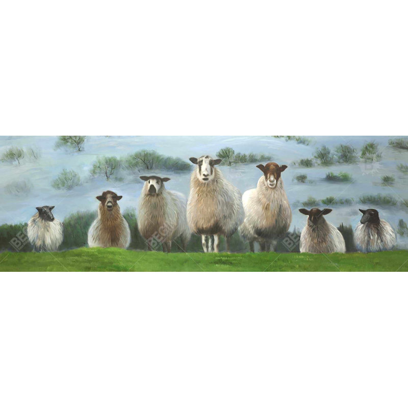 «Flock Of Sheep» sur