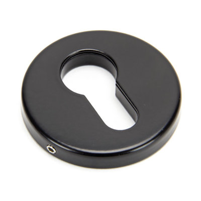 Regency Concealed Escutcheon Rosette