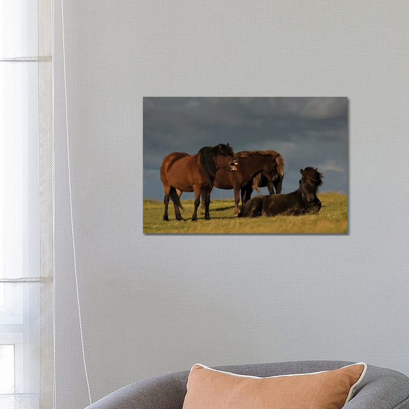 Jagger 1 Piece Wrapped Canvas Wall Art