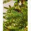 Lighted Artificial Christmas Tree-119200136