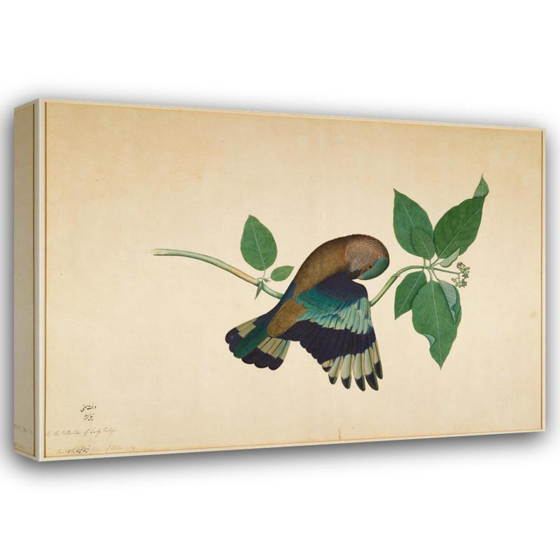 «Indian Roller on Sandlewood Branch» par Sheik Zain Al-Din - Art mural sur toile tendue avec châssis, H 14 po x l 18 po