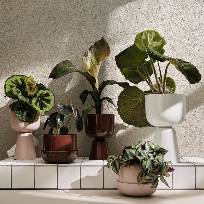 Juba Handmade Ceramic Pot Planter, Pink