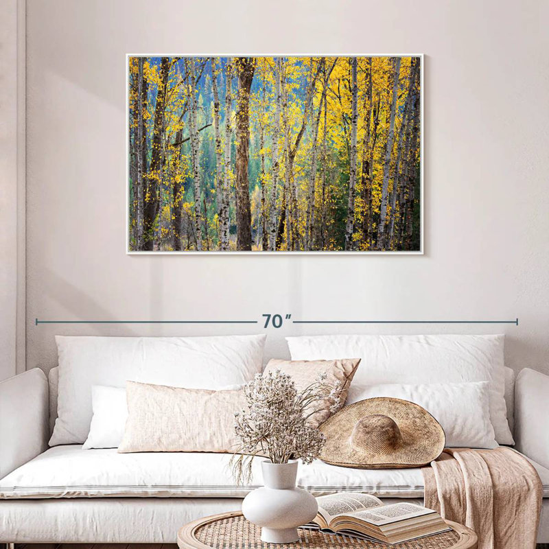 Kootenay Fall II, Cadre flottant blanc, 43 po x 29 po
