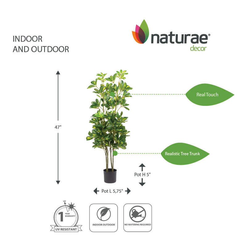 Artificial 47" Schefflera Indr&otdr