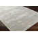 Avia Machine Woven Polyester/Polypropylene Area Rug in Gray/Beige