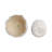 Decorative Round Ceramic Planters for Home Decor - Minimalist Outdoor Flower Pots for Indoor Living Room and Patio Accent - Set of 2, White-129987040-112827963