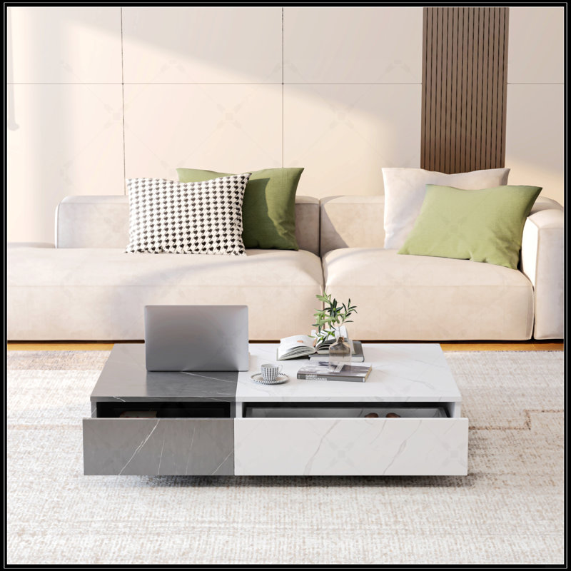 Table basse de style moderne avec deux espaces de rangement