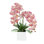 Orchid Arrangement in Square Fiberstone Pot