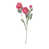 Rose millennial est en rupture de stock