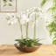 Myron Metal Decorative Bowl