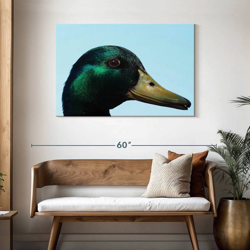 Mallard Duck Close Up, 30" H x 45" W