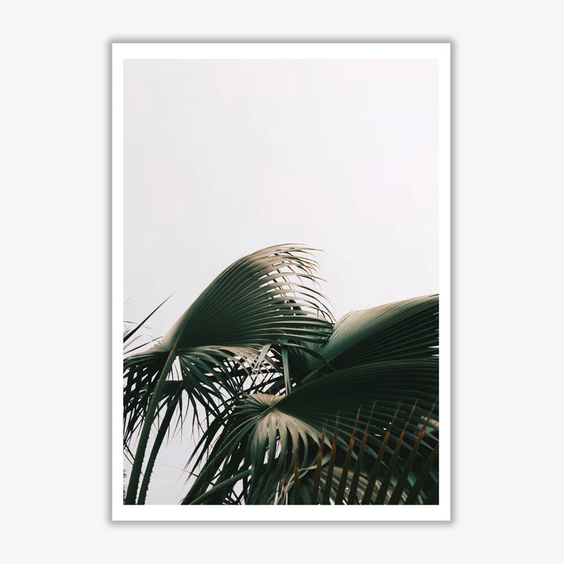 Bushy Palm Leaves - Print, 30 cm H x 21 cm W x 1 cm D, No Frame