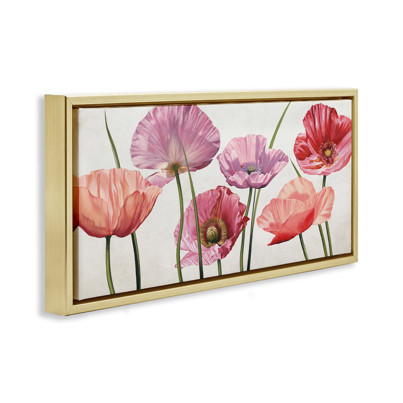 Mélange de coquelicots aux pétales éclatants, Cadre flottant métallique doré, H 14 po x l 31 po