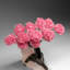 Custom - Genuine Rose Quartz Clustered Gemstone Tree On Rose Quartz Matrix (Unconditional Love Tree)