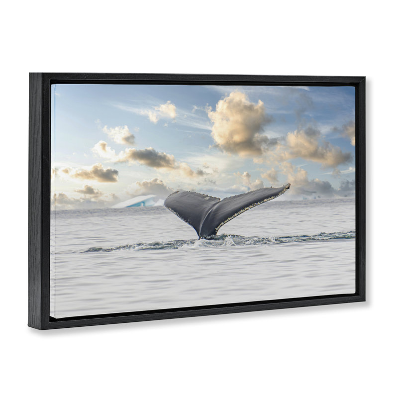 Cadre flottant Antarctica, Cadre flottant noir de jais, H 17 po x l 25 po