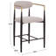 Raylee Arm Counter Stool
