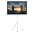 Symple Stuff Portable Projector Screen Projector Screen-1686519533