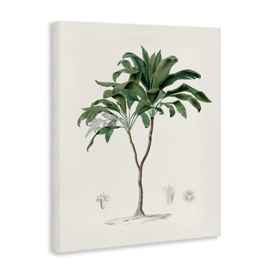 «Coastal Palms», toile par Val Rhodes